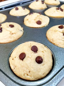 Chocolate Chip Protein Muffins 1