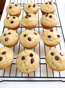 Chocolate Chip Protein Muffins 3
