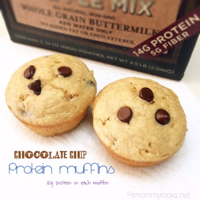 Chocolate Chip Protein Muffins